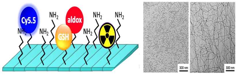 Smart nanofiber with lung-targeting property for metastatic breast cancer.