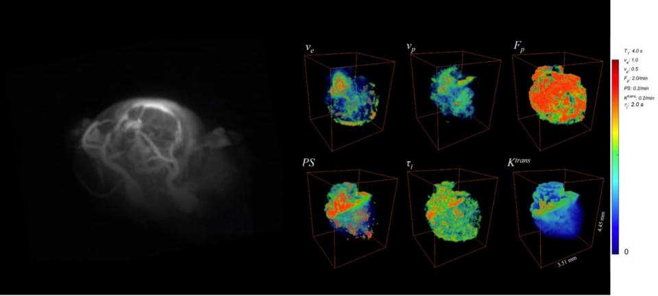 Imaging tumor cellular and vascular properties