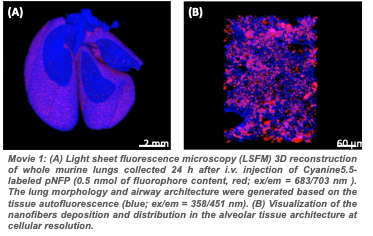 LSFM, Visualization of nano fibers