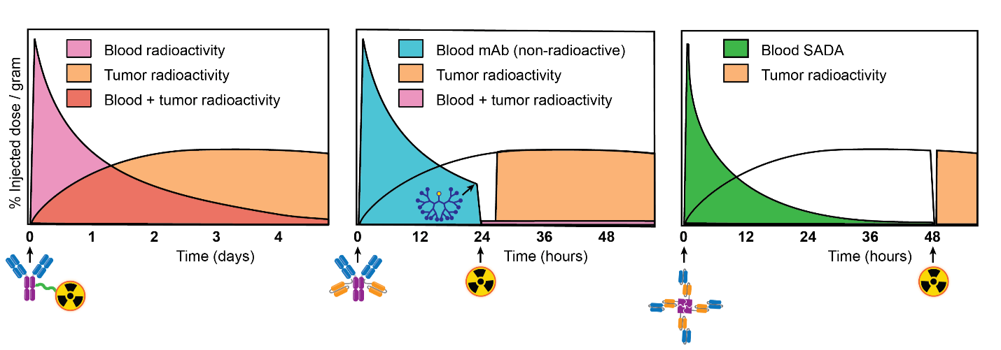 Conventional RIT (left) versus 3-step pretargeted RIT (center) versus 2-step pretargeted RIT (right)