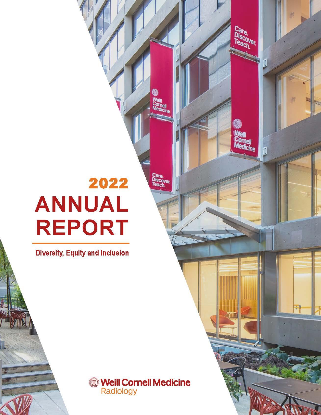 DEI Annual Report 2022 Cover
