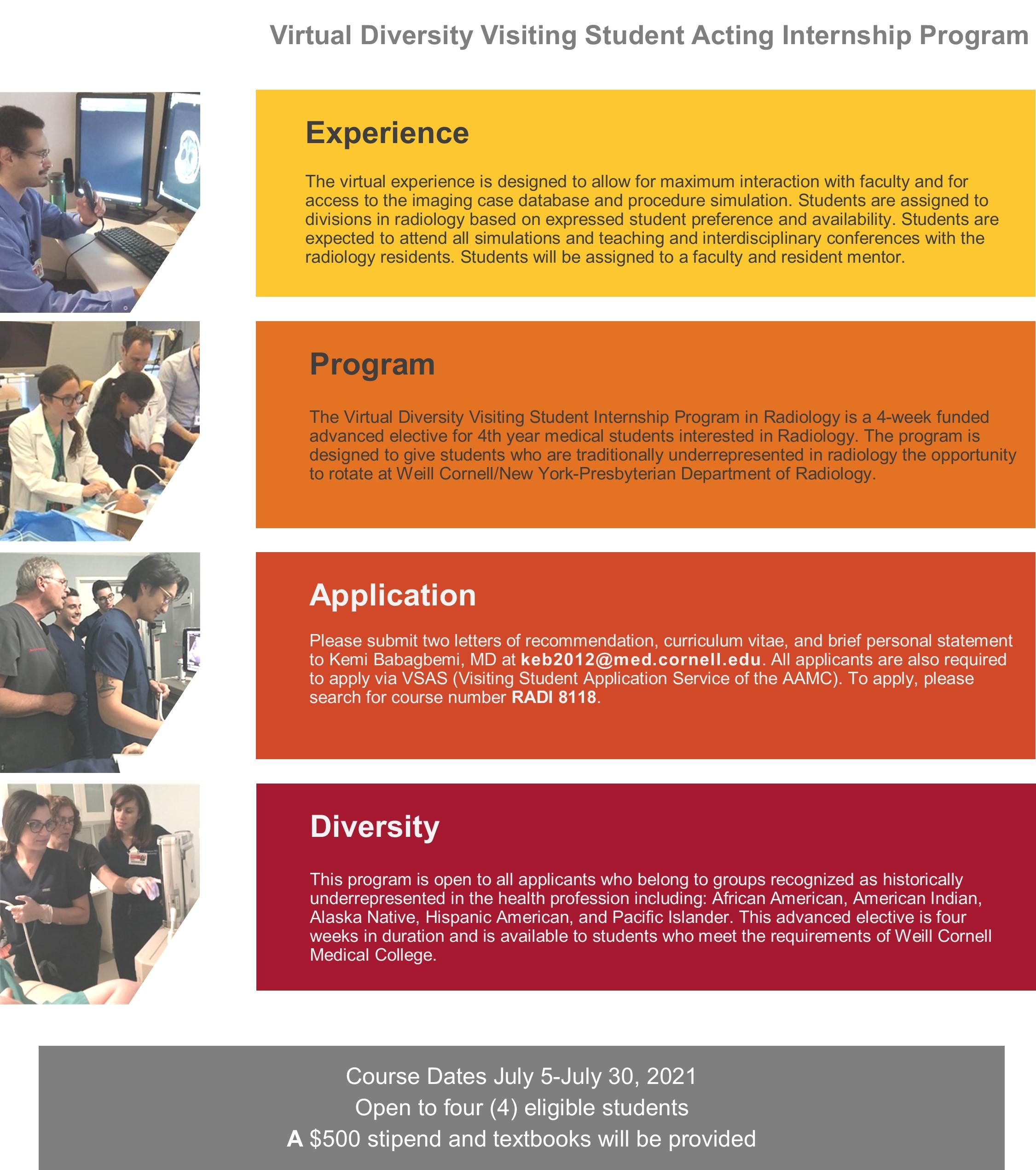 Virtual Diversity visiting Students Program 2021